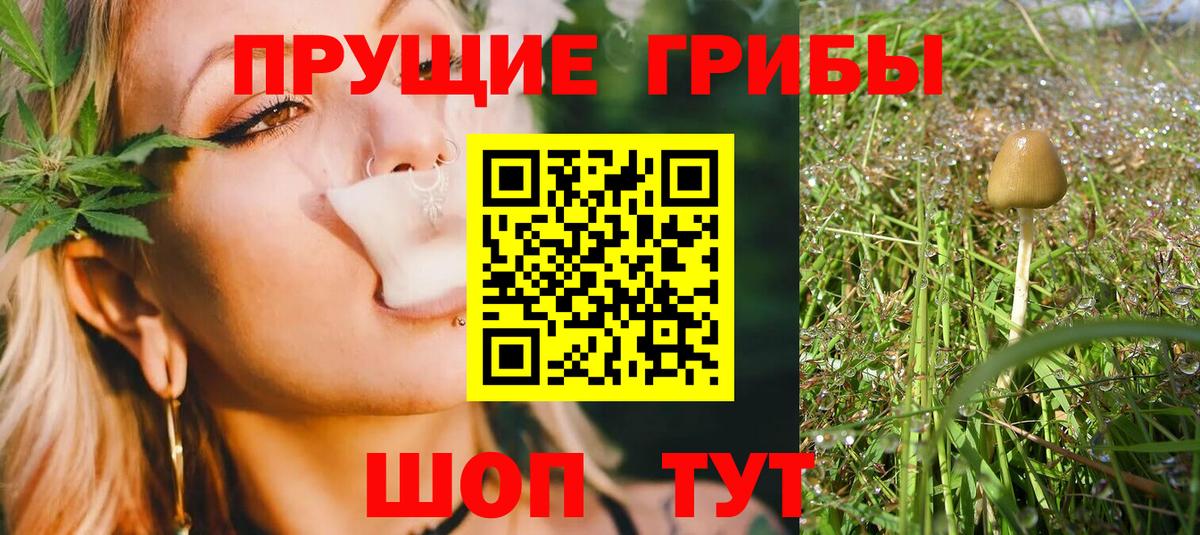 как найти закладки  Вход с VPN  Зеленокумск  Галлюциногенные грибы Cubensis  Галлюциногенные грибы GOLDEN TEACHER 